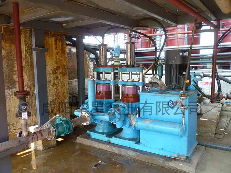 化工行業(yè)用陶瓷柱塞泵現場(chǎng)