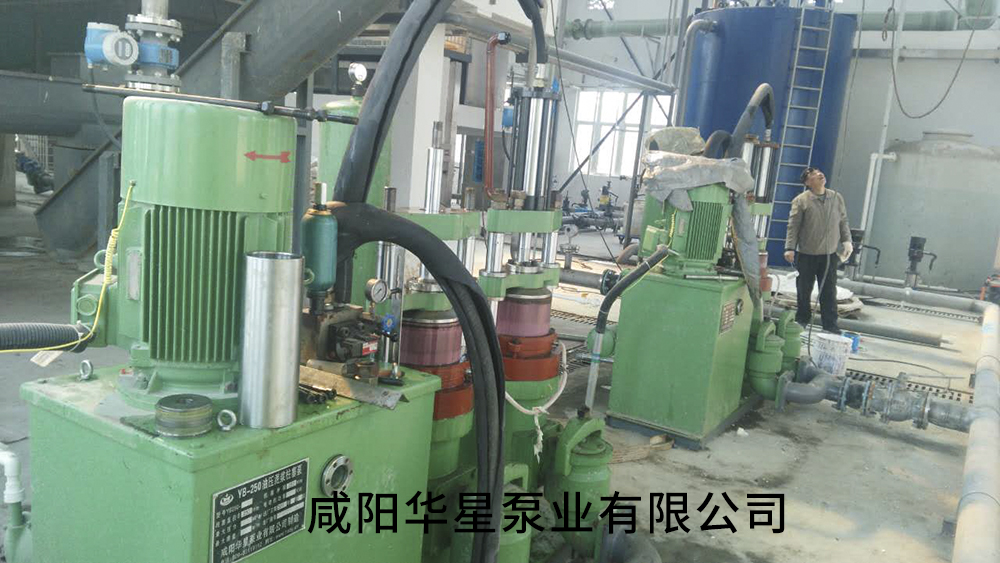 安徽池州清溪污水處理廠(chǎng)-水印3