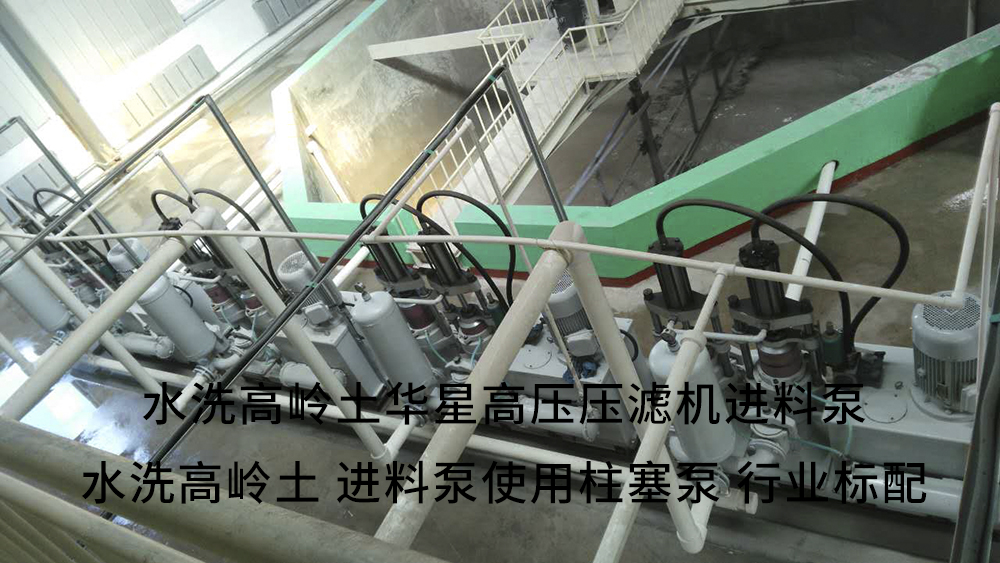 水洗高嶺土高壓壓濾機進(jìn)料泵3